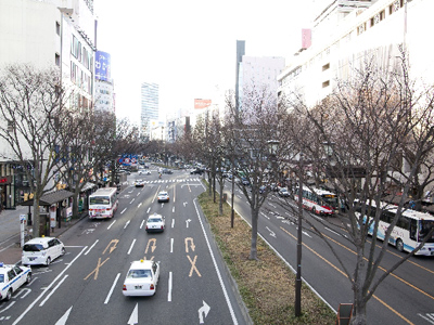 仙台（宮城）